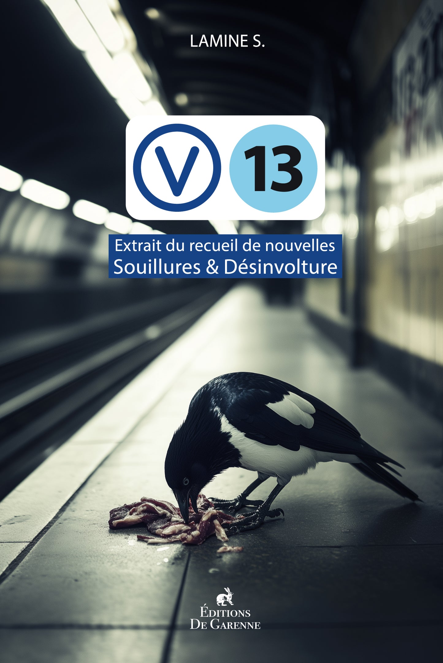 V13